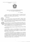 Vista preliminar de documento RSG_2015027