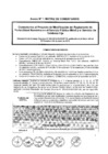 Vista preliminar de documento Matriz de comentarios
