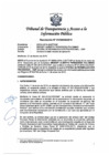 Vista preliminar de documento Resolución Nº 010300502019
