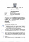 Vista preliminar de documento Resolución Nº 010300632019