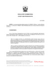 Vista preliminar de documento RVM N° 071-2020-DVPA.pdf
