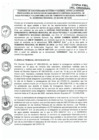 Vista preliminar de documento CONV EMAPAT-GOREMAD-2020.pdf
