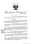 Vista preliminar de documento 95-resolucion