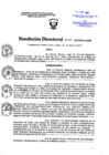 Vista preliminar de documento Resolucion Directoral