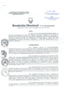 Vista preliminar de documento Resolucion Directoral