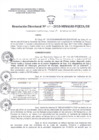Vista preliminar de documento Resolucion Directoral