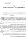 Vista preliminar de documento Resolucion Directoral