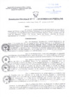 Vista preliminar de documento Resolucion Directoral