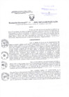 Vista preliminar de documento Resolucion Directoral