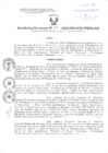 Vista preliminar de documento Resolucion Directoral