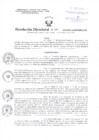 Vista preliminar de documento Resolucion Directoral