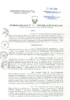 Vista preliminar de documento Resolucion Directoral