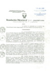 Vista preliminar de documento Resolucion Directoral