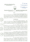 Vista preliminar de documento Resolucion Directoral
