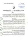 Vista preliminar de documento Resolucion Directoral
