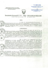 Vista preliminar de documento Resolucion Directoral