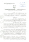 Vista preliminar de documento Resolucion Directoral