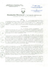 Vista preliminar de documento Resolucion Directoral