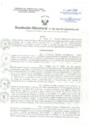 Vista preliminar de documento Resolucion Directoral