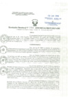 Vista preliminar de documento Resolucion Directoral
