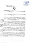 Vista preliminar de documento Resolucion Directoral