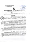 Vista preliminar de documento Resolucion Directoral