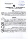Vista preliminar de documento Resolucion Directoral