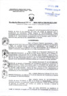 Vista preliminar de documento Resolucion Directoral