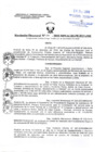 Vista preliminar de documento Resolucion Directoral