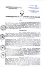Vista preliminar de documento Resolucion Directoral