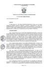 Vista preliminar de documento ROGA_2020160
