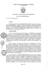 Vista preliminar de documento ROGA_2020153