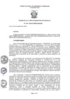 Vista preliminar de documento ROGA_2020143