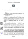 Vista preliminar de documento ROGA_2020132