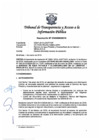 Vista preliminar de documento Resolución Nº 010300652019