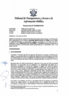 Vista preliminar de documento Resolución Nº 010300672019