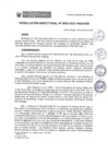 Vista preliminar de documento rd003_2021.pdf