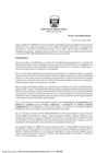 Vista preliminar de documento RD_0011_2021_MINEM_DGAAE.pdf