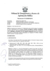 Vista preliminar de documento Resolución Nº 010300912019