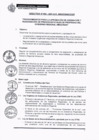Vista preliminar de documento Directiva 002-2021.pdf
