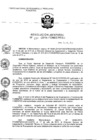 Vista preliminar de documento RJ_2015230