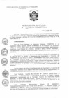 Vista preliminar de documento RJ_2015027