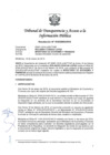Vista preliminar de documento Resolución Nº 010300932019