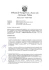 Vista preliminar de documento Resolución Nº 010301172019