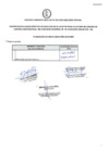 Vista preliminar de documento APTO / NO APTO