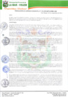 Vista preliminar de documento RGM-333-2020.pdf