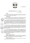 Vista preliminar de documento RJ 17-2021-ANA.pdf