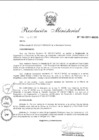 Vista preliminar de documento 2017