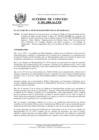 Vista preliminar de documento 2008AC001.pdf