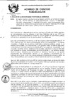 Vista preliminar de documento 2010AC023.pdf